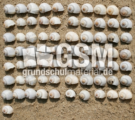 Schneckenhäuser-71.jpg